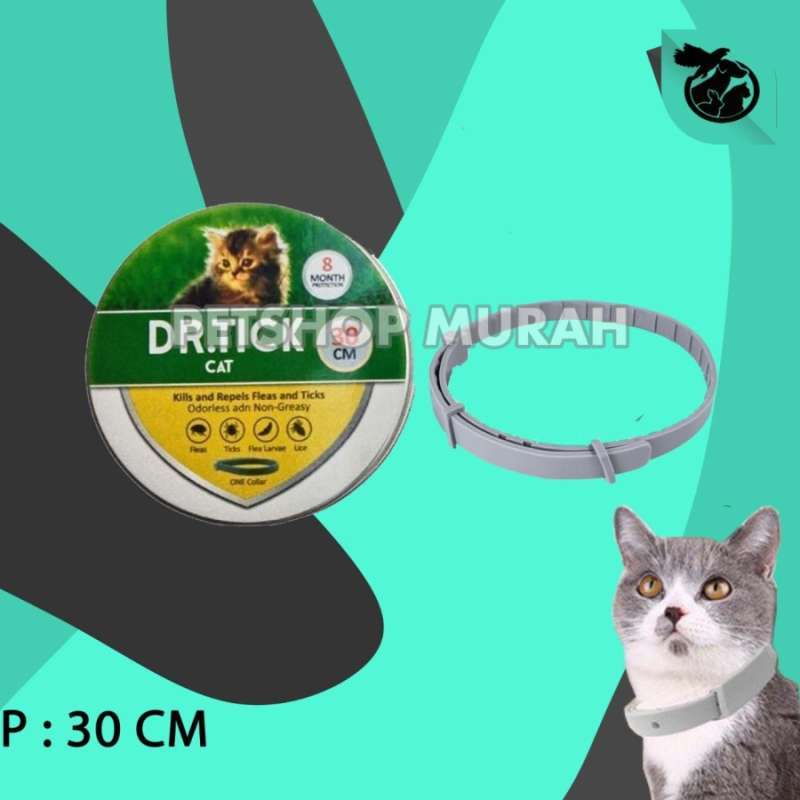Serta flea 2024 collar