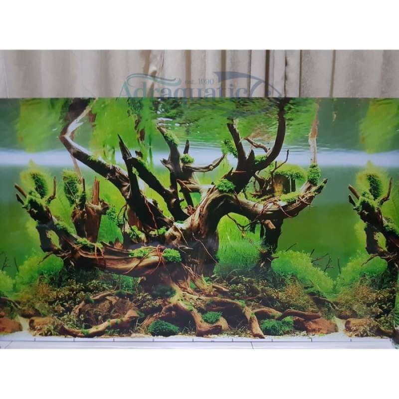 aquascape 1 meter