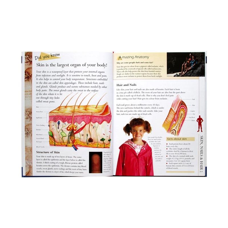 Jual North Parade Publishing My First Book On The Human Body Wonders Of Learning Reference Book Activity Books Online November 2020 Blibli Com