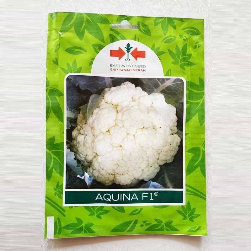 Jual Benih Biji Bunga Kol Aquina Pack 10 Gram Biji Panah Merah Online Oktober 2020 Blibli Com