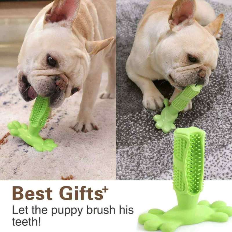 Jual H Ikea Dog Toothbrush Teeth Cleaning Stick Pets Chew Toy