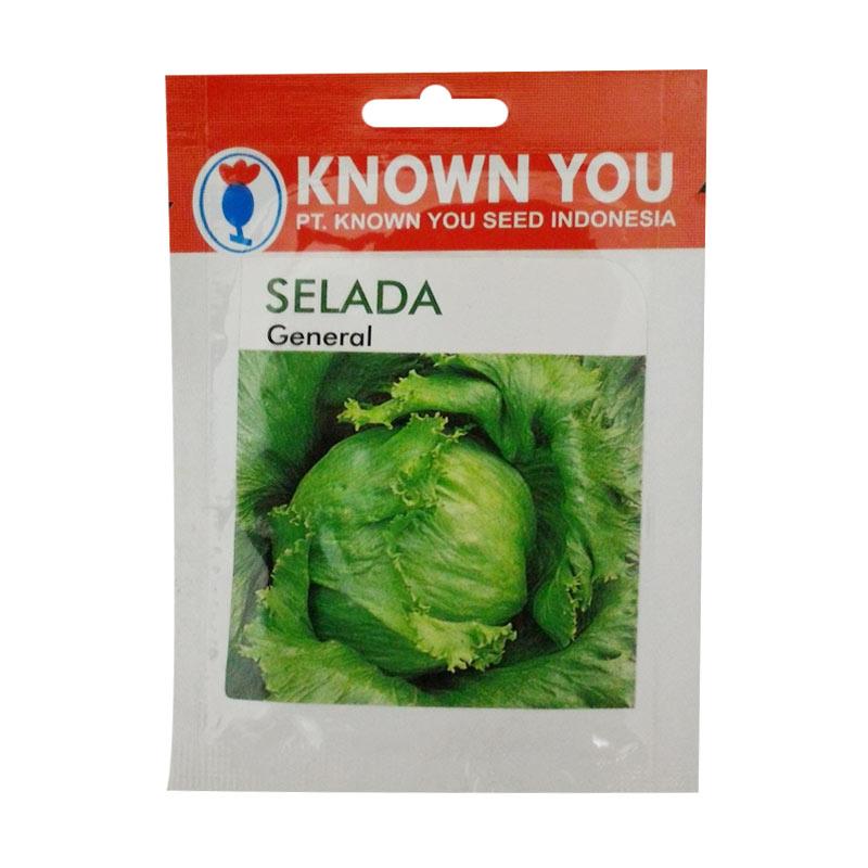 Jual Known You Seeds Head Lettuce Benih Sayuran Selada General 1