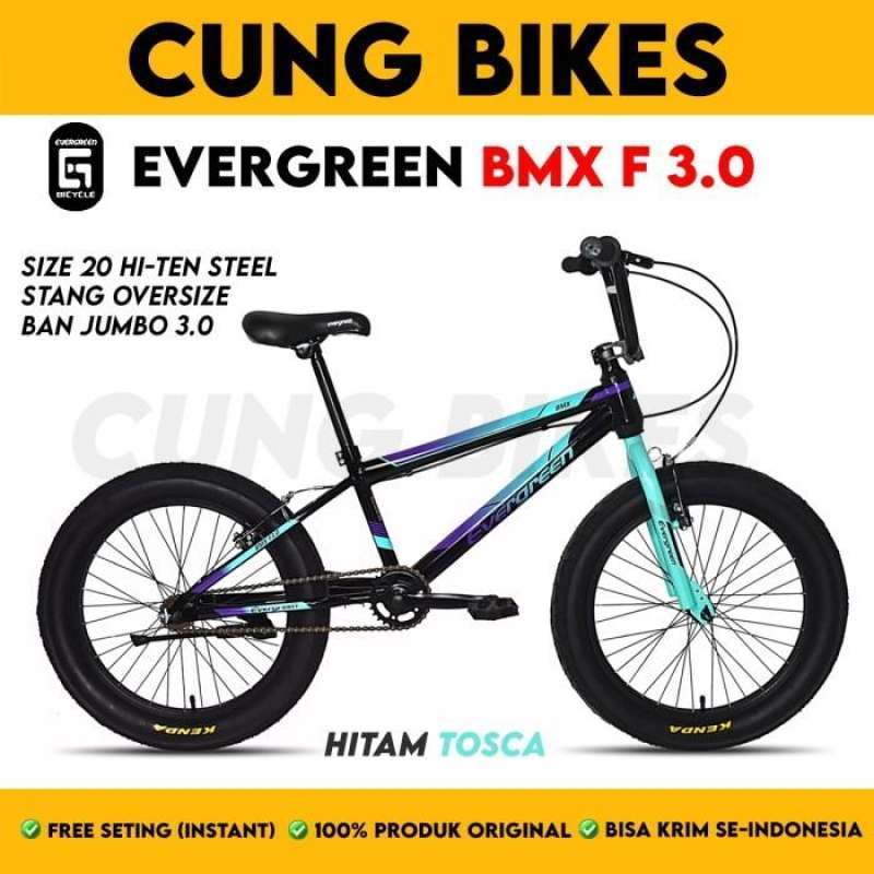 Sepeda anak laki BMX 20 Inch Evergreen Ban jumbo besar new