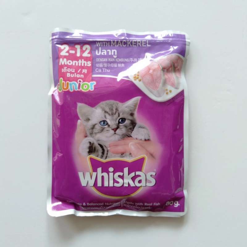 Whiskas junior mackerel sale