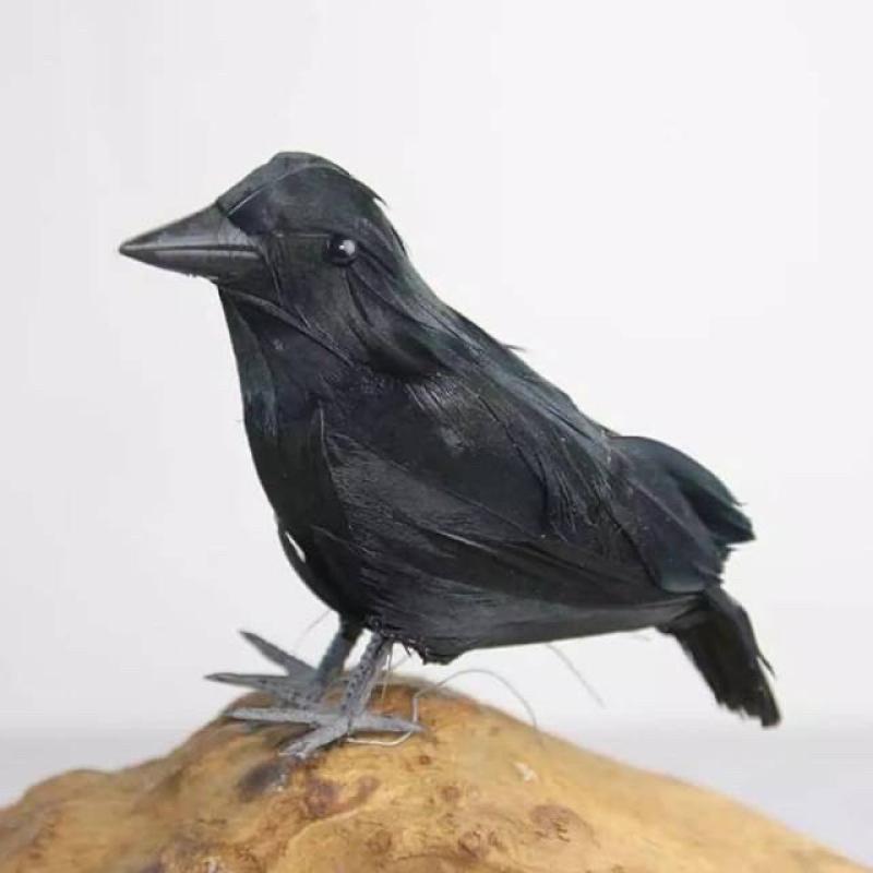 Oem Mainan Burung Gagak Terbaru Agustus 2021 Harga Murah Kualitas Terjamin Blibli