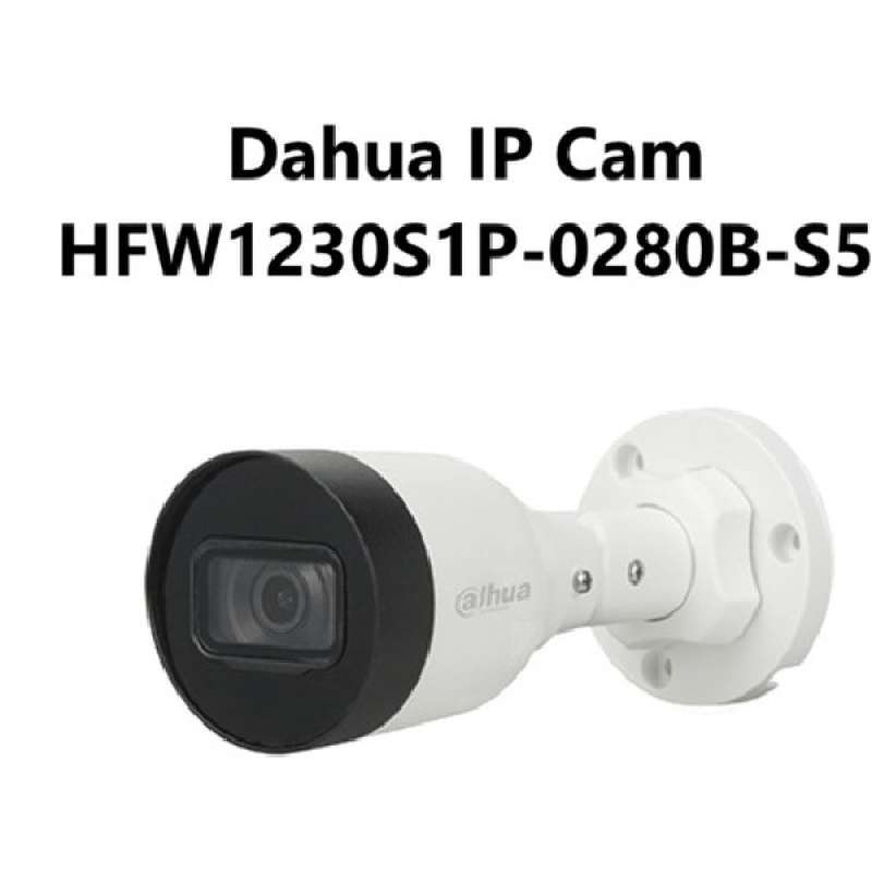 Dahua 1230 hot sale ip camera