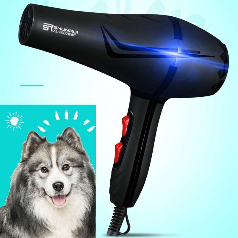 dog hair dryer pets at home