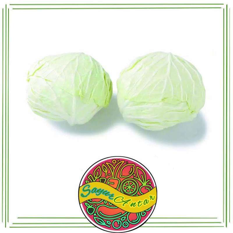 Jual Kol Putih 500 Grm Online September 2020 Blibli Com