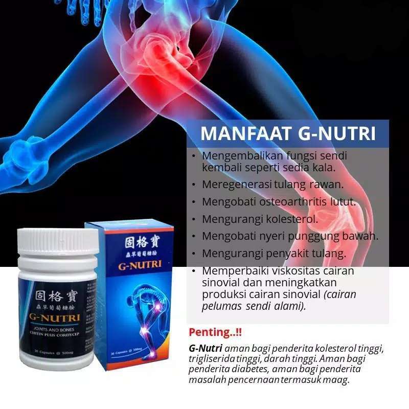Jual Terlaris G Nutri Gnutri Glucosamine Isi 30 Kapsul Obat Sendi Dan Tulang Herbal Obat Kolesterol Obat Asam Urat Kualitas Pro Terbaru Juni 2021 Blibli