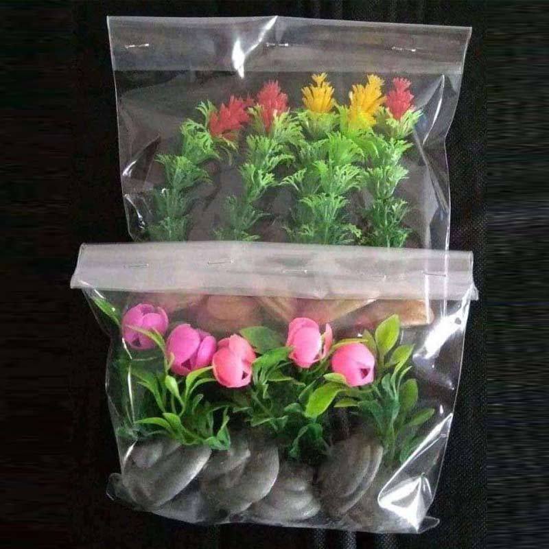 Jual Tanaman Hias Aquarium Aquascape Terarium Terbaru Juni 2021 Blibli
