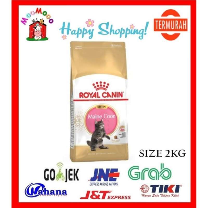 Royal canin maine hotsell coon kitten 2kg
