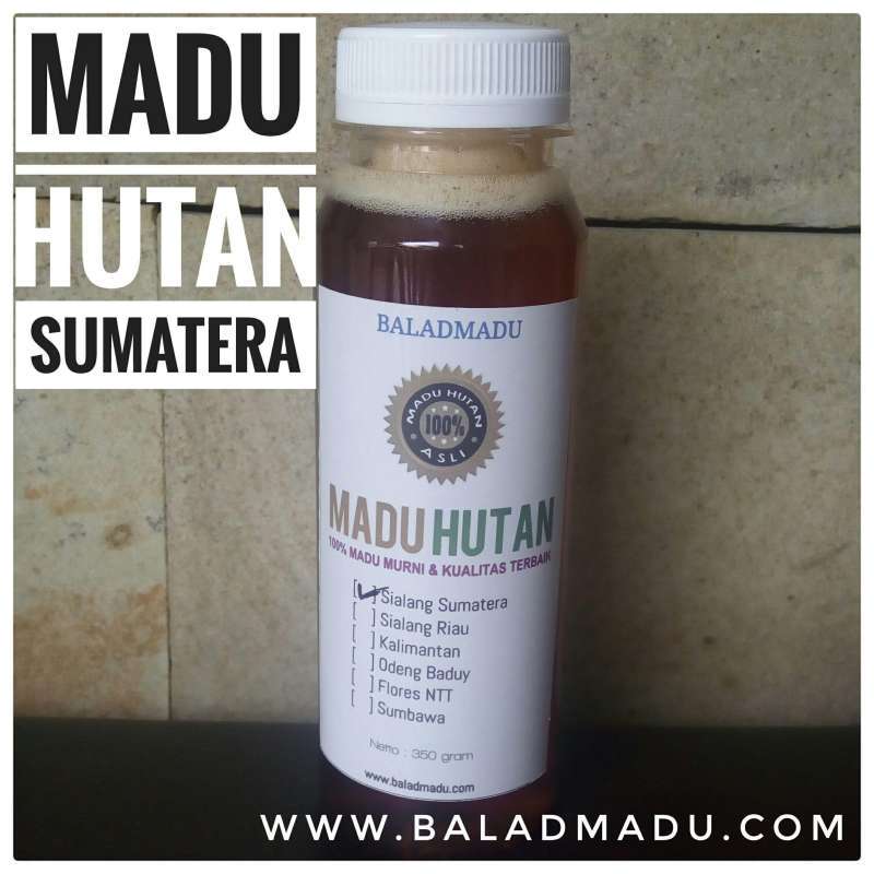 Jual Madu Hutan Sialang Sumatera Asli 350gr Terbaru Juli 2021 Jual Madu Hutan Sialang Sumatera Asli 350gr Terbaru Juli 2021