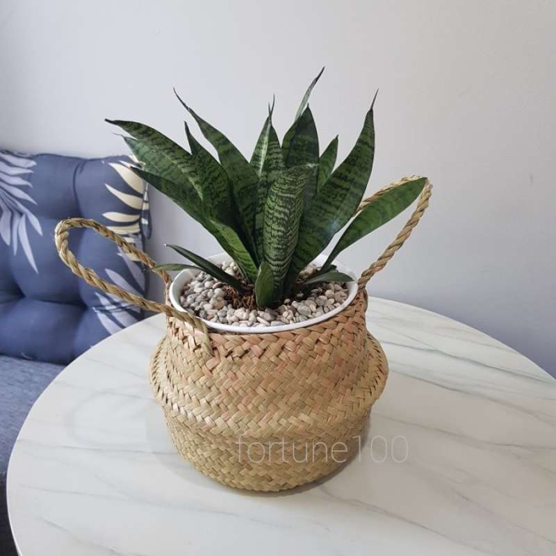 Jual Keranjang Anyaman Purun Cover Pot Purun Belly Basket Handle E04 Xs Online Desember 2020 Blibli