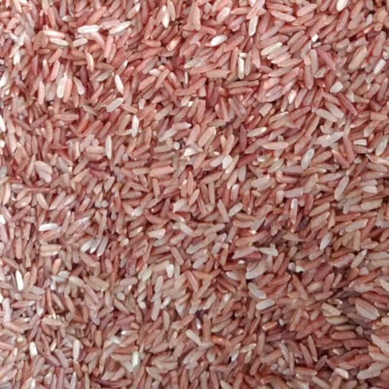 Jual Beras Merah Gm 1 Kg Murah Mei 2021 