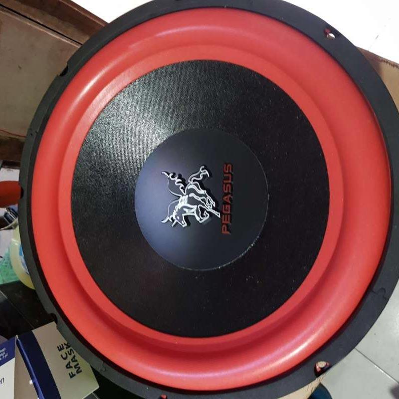 Speaker pegasus best sale 12 inch