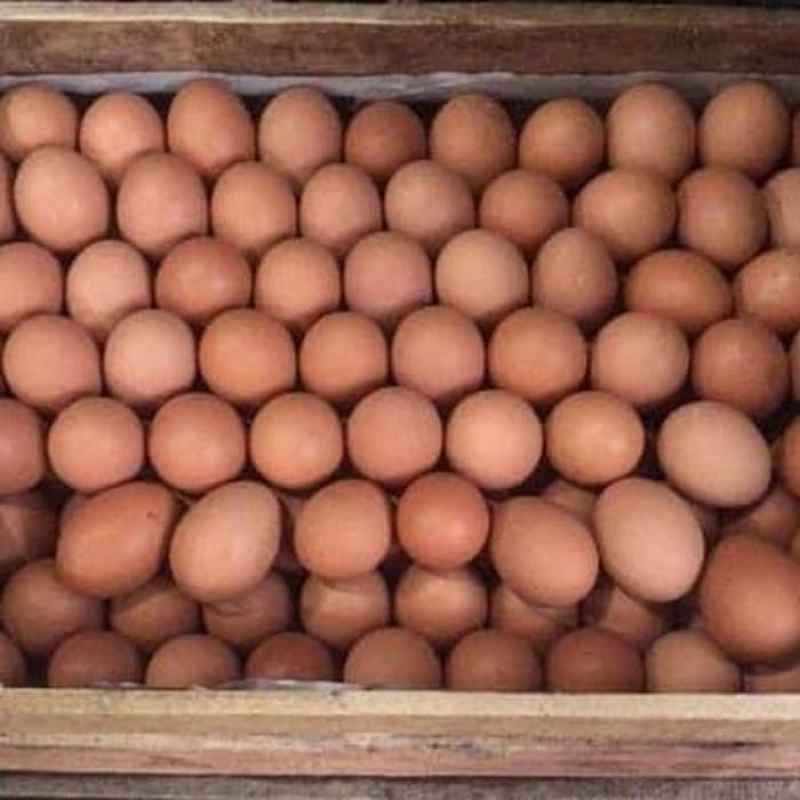 Jual Telur Ayam Negeri 1 Peti 15kg Murah Mei 2021 Blibli 