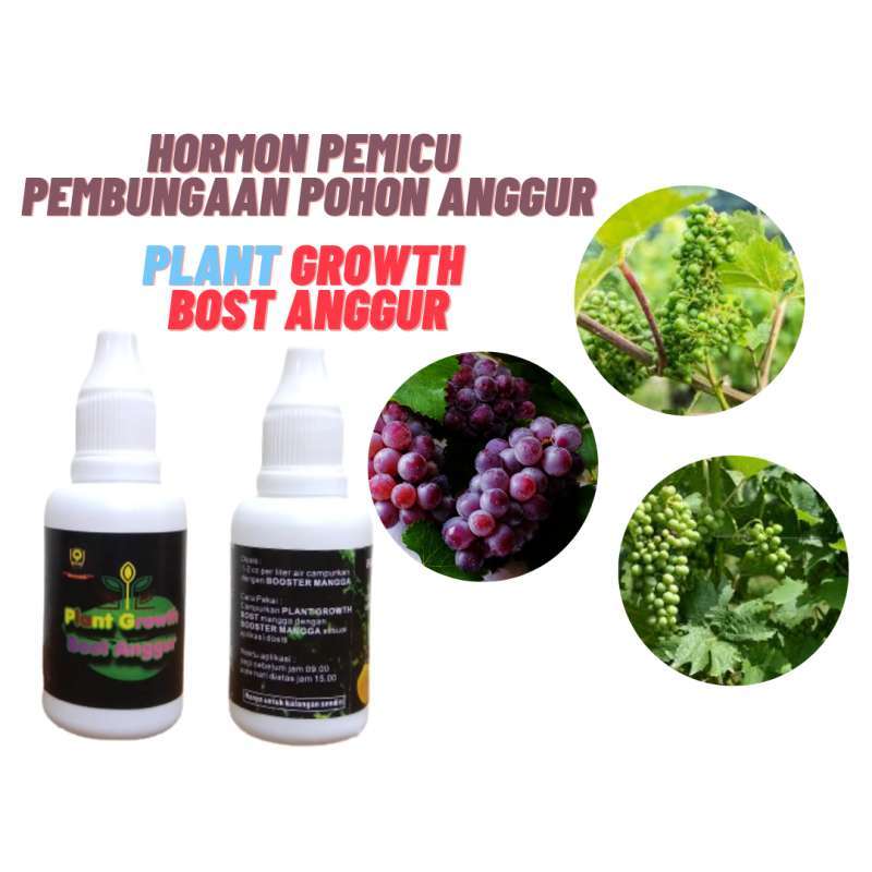 Pupuk Hormon Pemicu Bunga Tanaman Anggur Pupuk Hormon Anggur Cepat Berbunga Pupuk Hormon Anggur Cepat Berbuah Terbaru Agustus 2021 Harga Murah Kualitas Terjamin Blibli