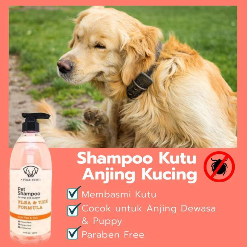 Shampoo anjing golden retriever 2025