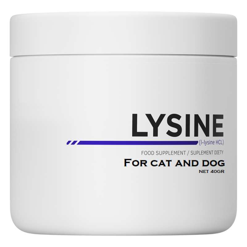 Jual Lysine Cat Vitamin Kucing Dan Anjing Imunitas Nafsu Makan Mencegah Flu Online Maret 2021 Blibli