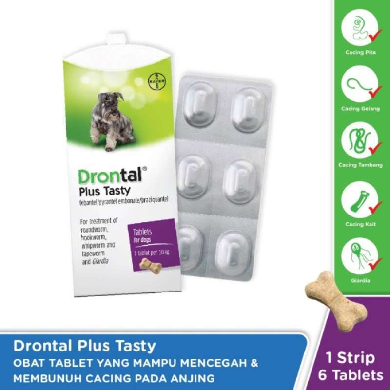 Drontal plus hot sale tasty