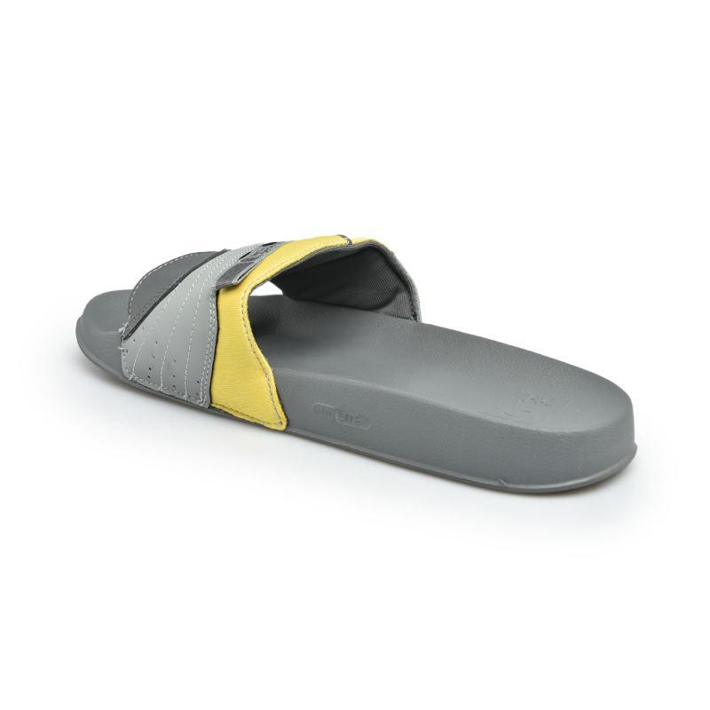 Dc williams slides sales