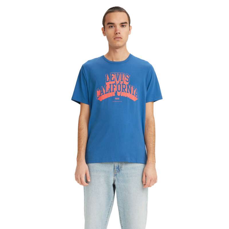 Jual Levi's Classic Graphic T-Shirt 
