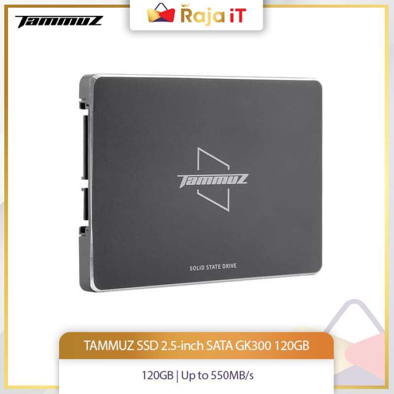 Tammuz ssd store