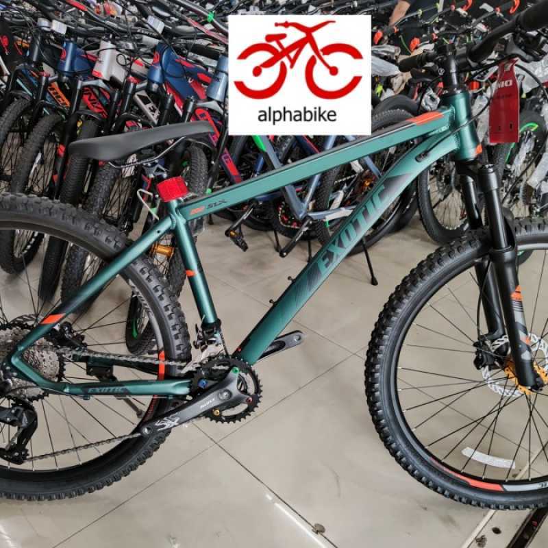 Exotic 27.5 new arrivals