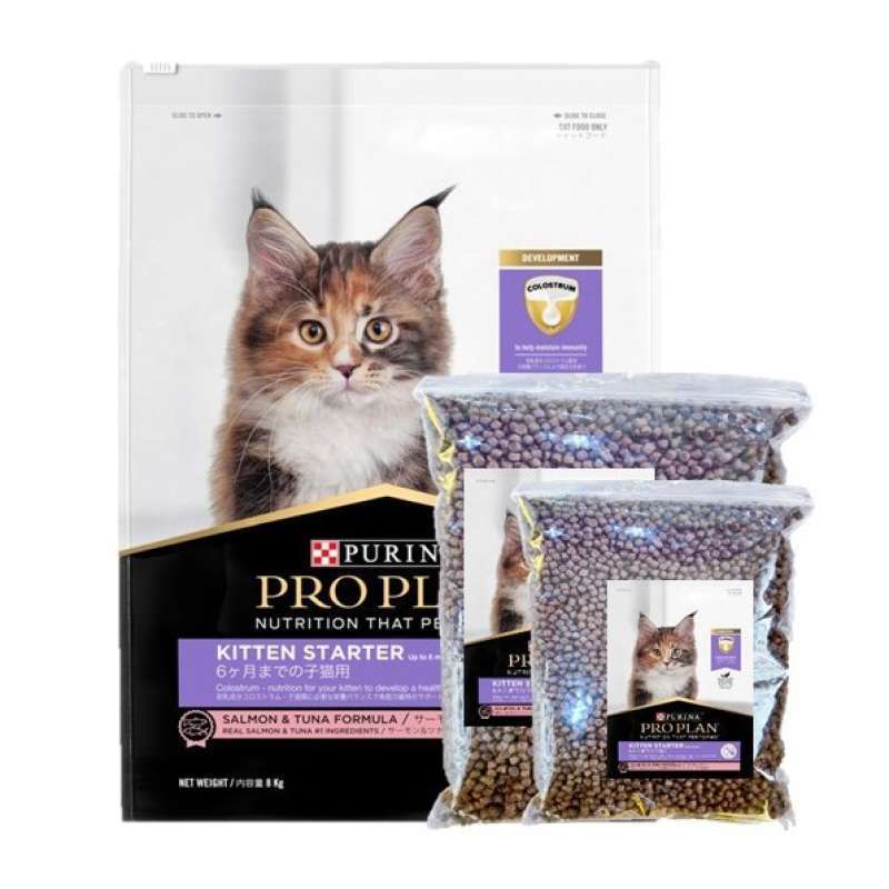 Pro plan kitten harga online