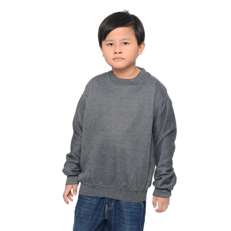 Joie sales aydin sweater