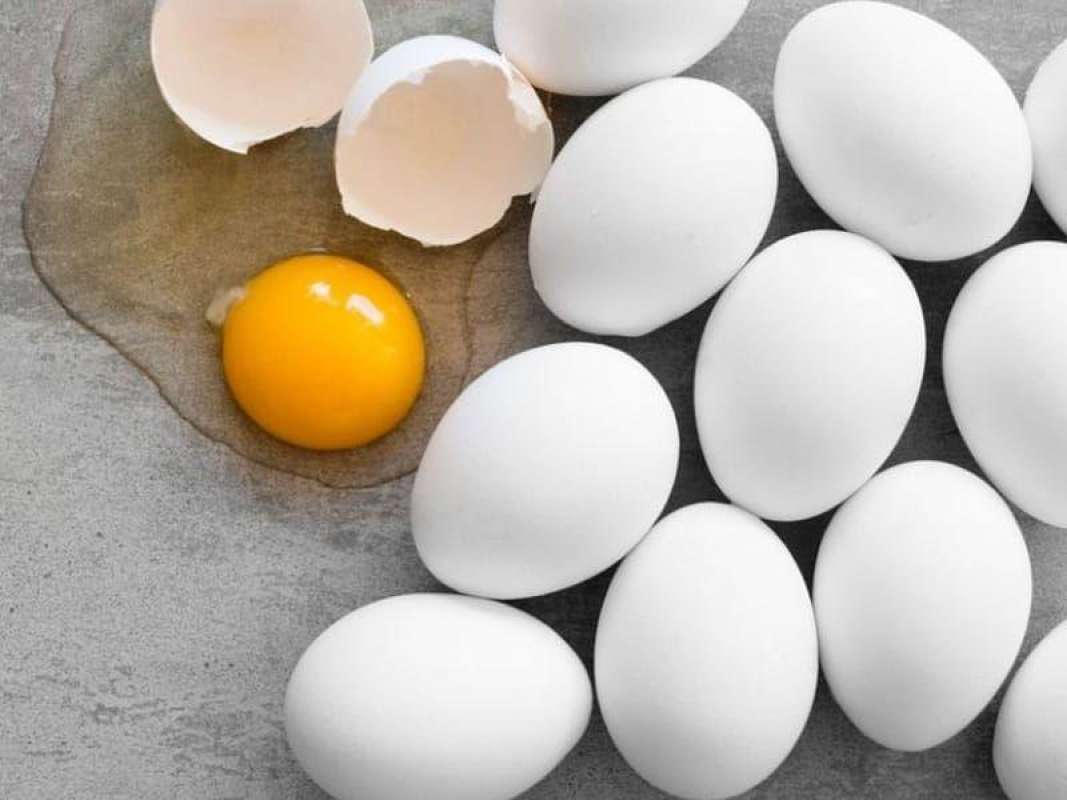 Jual Jakarta Sembako Telur Ayam Kampung Merah Online Januari 2021 Blibli