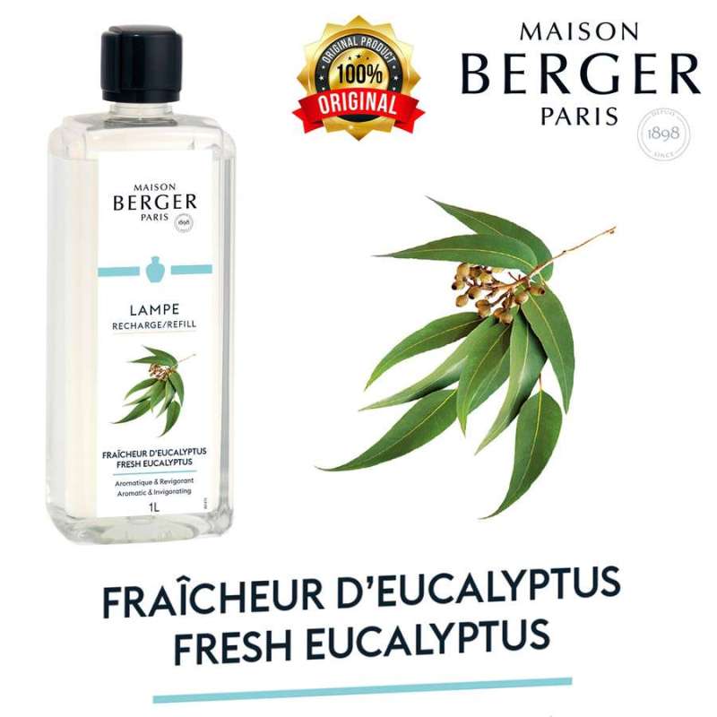 Maison store berger eucalyptus