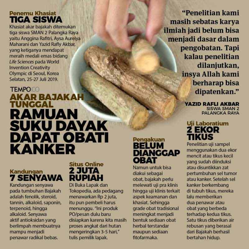 Jual Herbal Teh Bajakah Original Sari Murni Mengobati Berbagai Macam Penyakit Kanker Tumor Diabetes Online Oktober 2020 Blibli Com