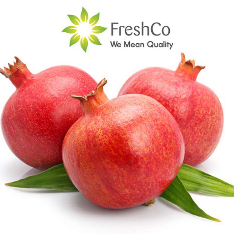 Jual Freshco Makassar Delima Peru 1pcs Online Oktober 2020 Blibli Com