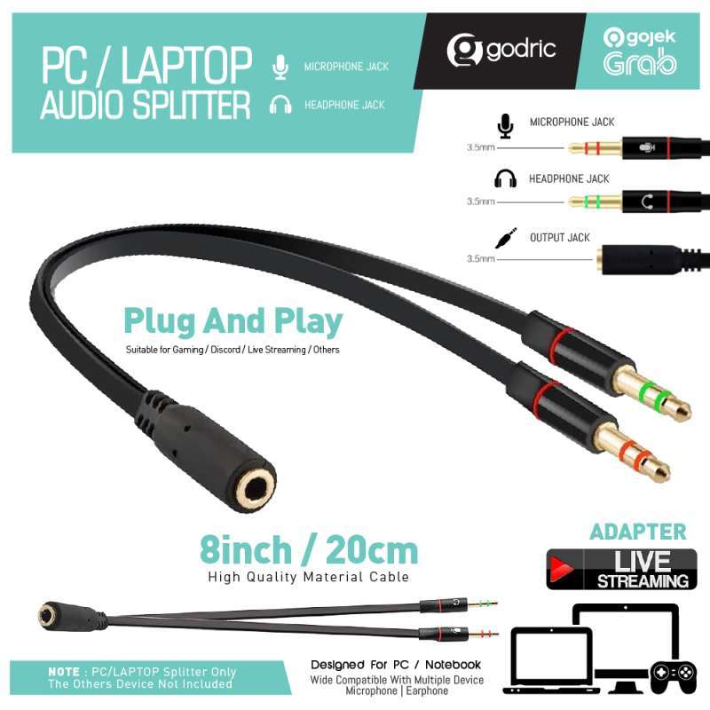 mic jack pc