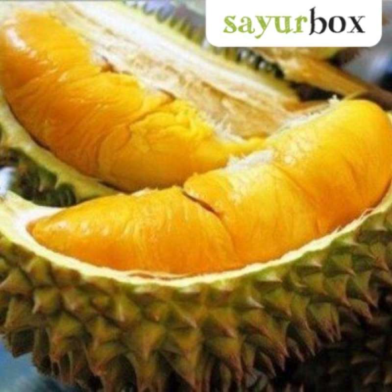 Harga durian musang king per kg
