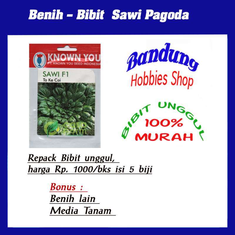 benih bibit sawi pagoda eceran seribuan murah