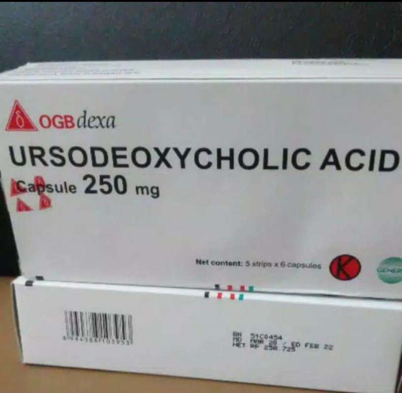 ursodeoxycholic acid obat apa