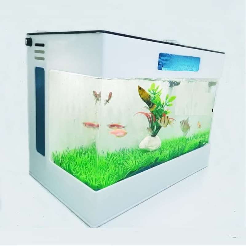 aquarium mini aquarium akrilik aquarium cupang aquarium acrylic