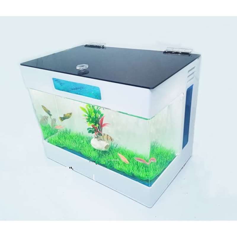 Jual Aquarium Mini Aquarium Akrilik Aquarium Cupang Aquarium Acrylic Online November 2020 Blibli Com