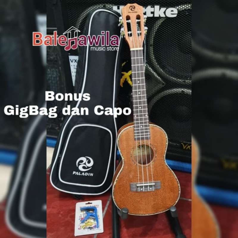 Ukulele paladin best sale concert