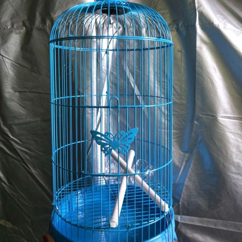 Kandang Pleci Kandang Burung Lovebird Kandang Lovebird Terbaru Agustus 2021 Harga Murah Kualitas Terjamin Blibli
