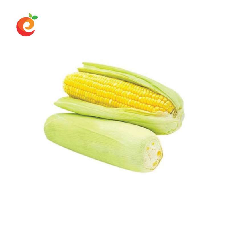 Jual Jagung Manis Murah Mei 2021 