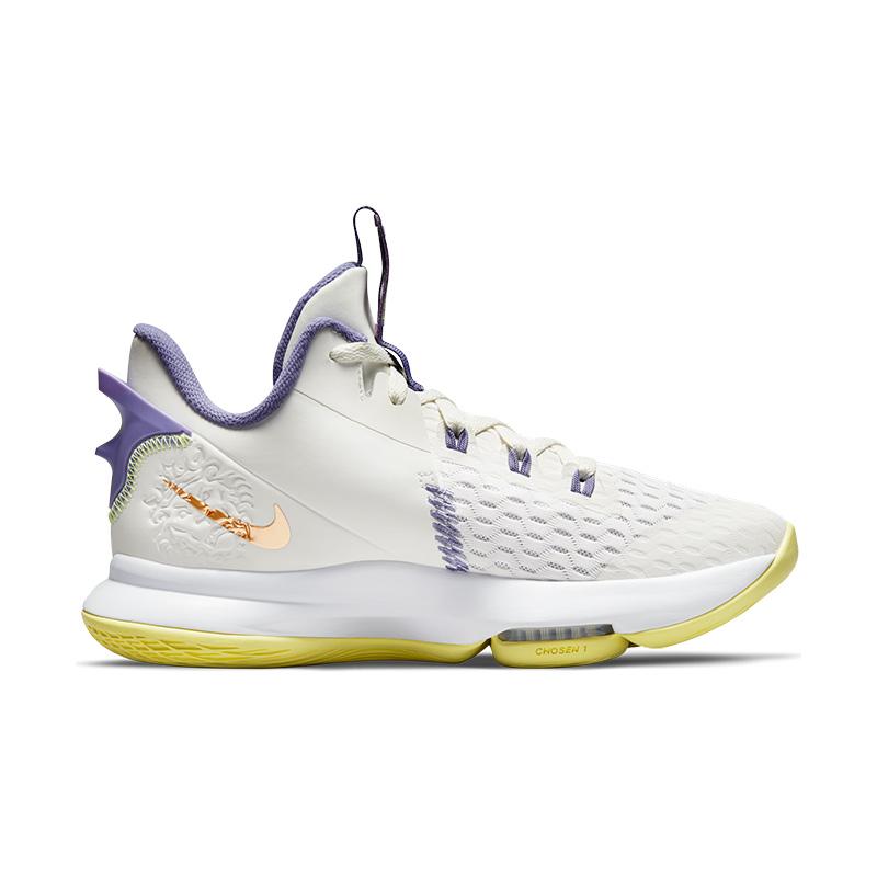 NIKE Unisex Basketball LeBron Witness V 