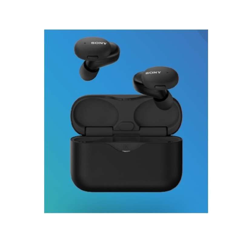 Sony store wfh 800