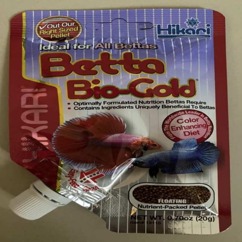hikari betta gold