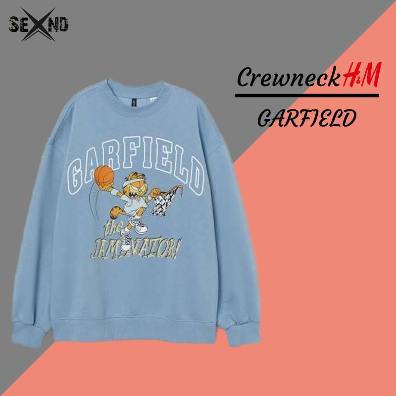 Garfield sweater h&m shop