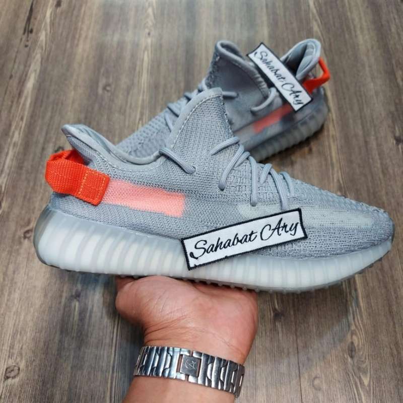 light 350 v2