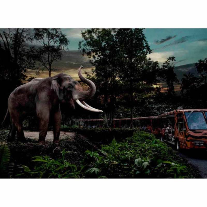 Jual Bliholiday Singapore Night Safari E-Ticket - Adult - - Di Seller  Blibli Holiday Official Store - Kota Jakarta Utara, Dki Jakarta | Blibli