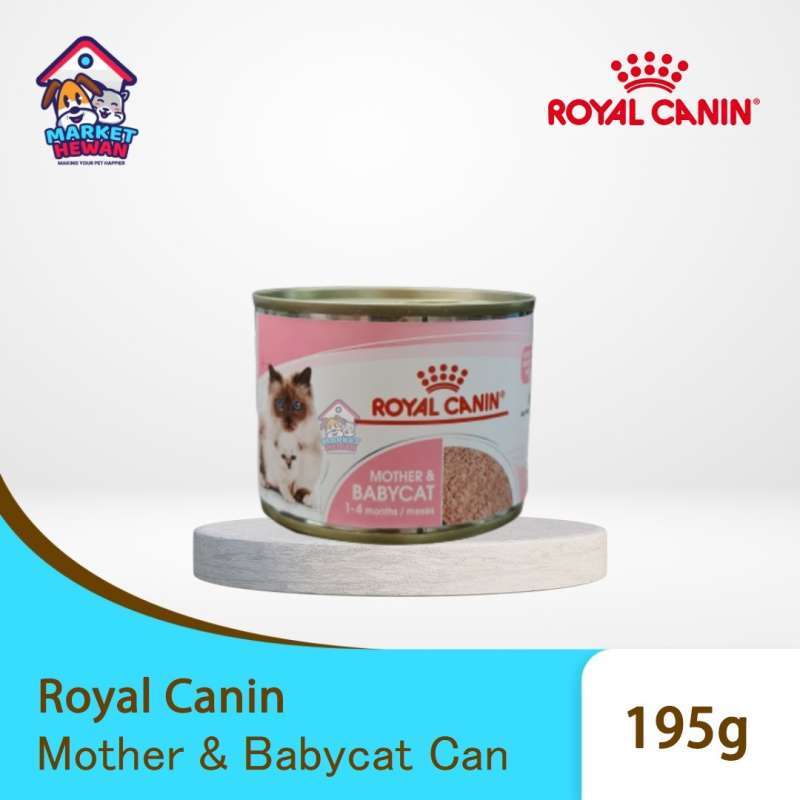 Royal canin mother and baby outlet cat untuk apa